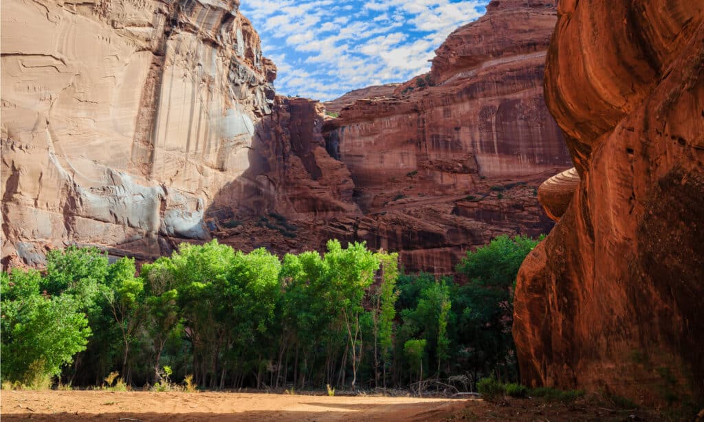 Monumento nazionale del Canyon de Chelly