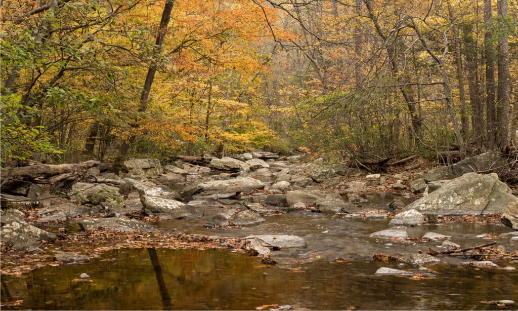 Catoctin Mountain Park