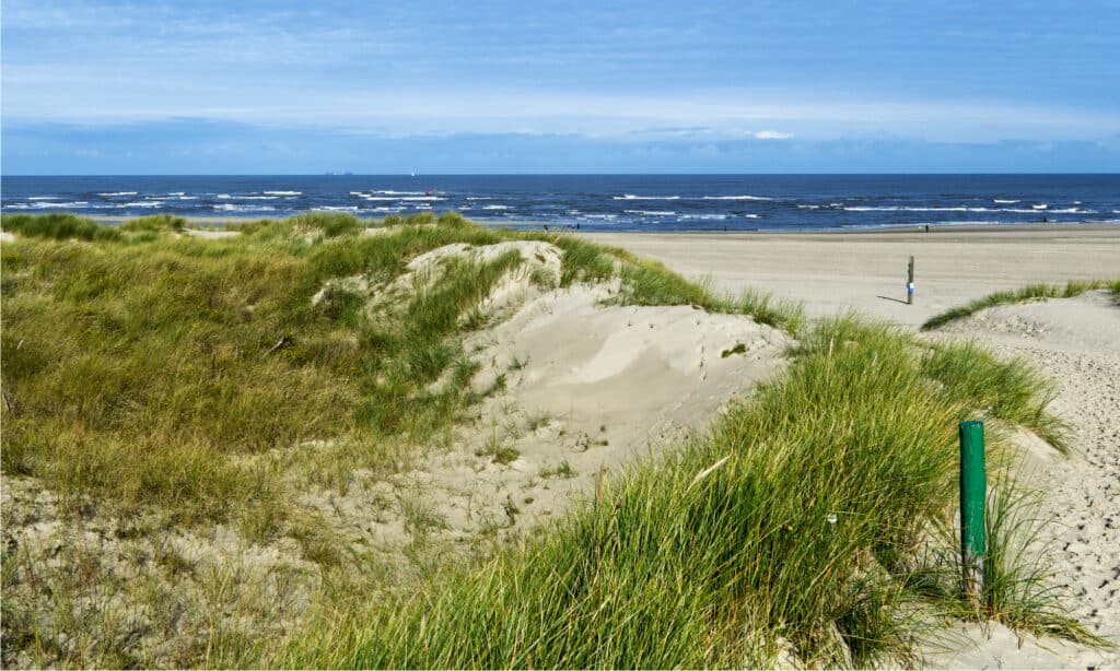 Isola Baltrum