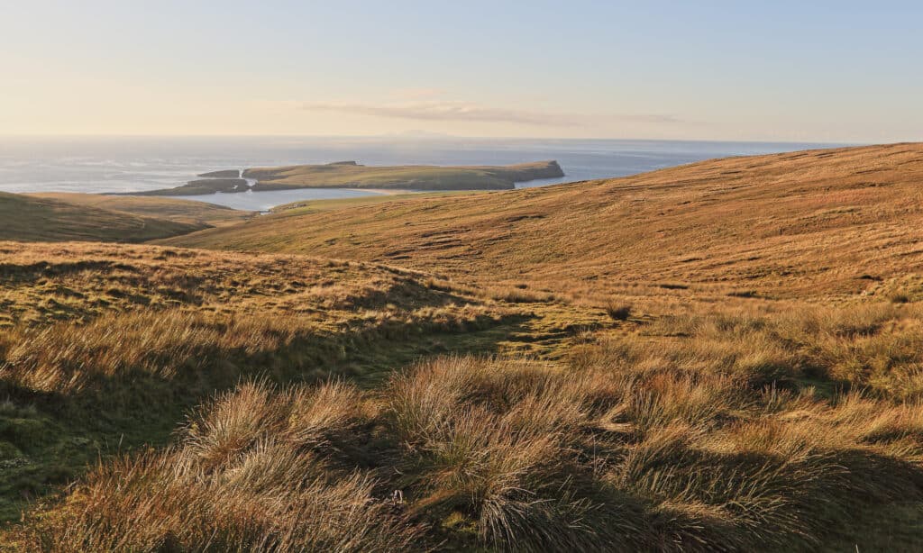 Isola di Foula