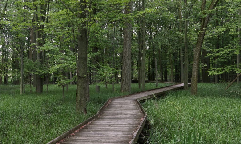 Maumee Bay State Park