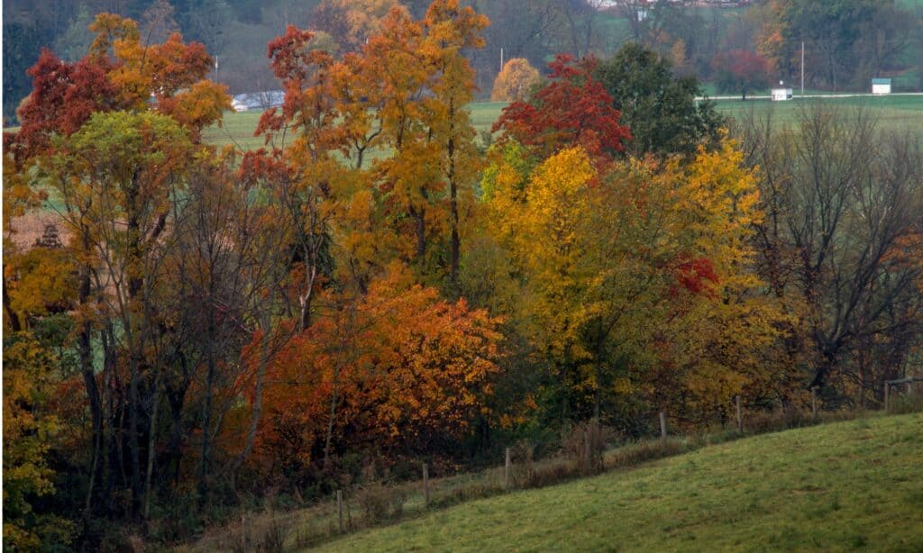 Parco statale della fattoria di Malabar