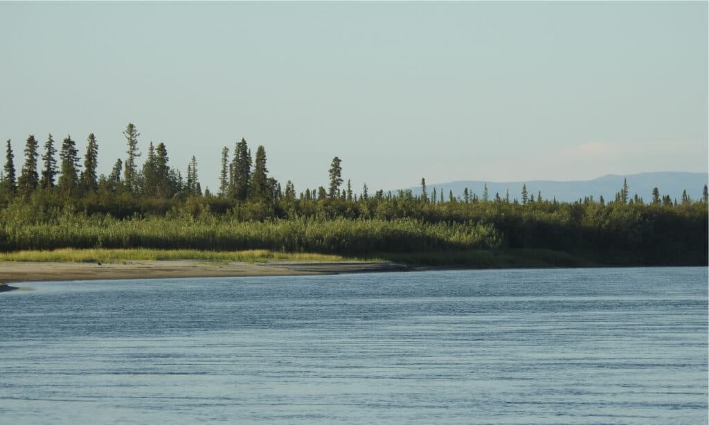Parco nazionale della valle di Kobuk