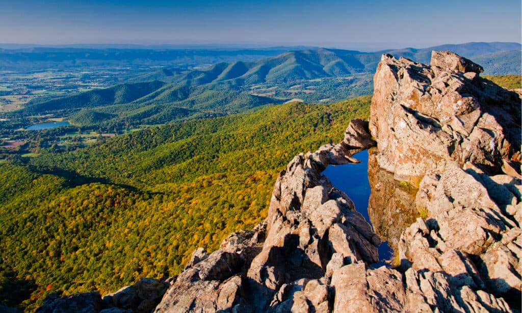 Parco nazionale di Shenandoah