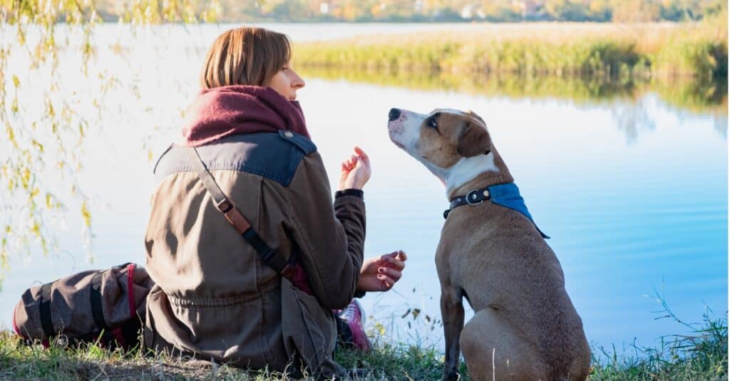cane di supporto emotivo che "ascolta" l
