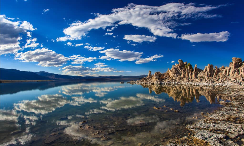 Mono lago