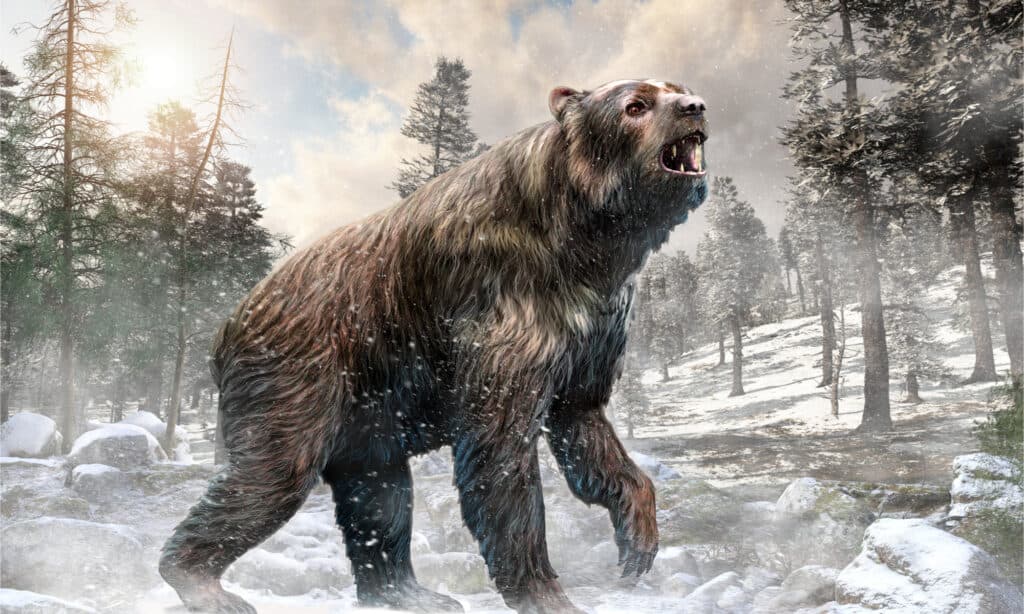 Illustrazione 3D di Arctodus in un bosco innevato