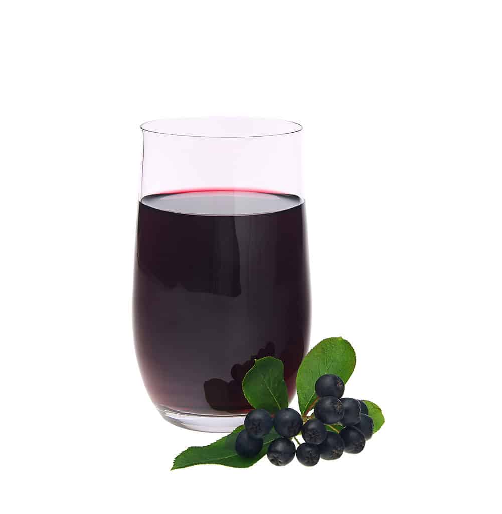 Un bicchiere di vetro trasparente di succo di bacche di aronia viola scuro .center frae contro l'isolato bianco.  Il bicchiere è pieno.  cornice in basso a destra, posizionata esteticamente annidata al bicchiere a molla tagliata liberamente forma un cespuglio di Ionia, con per foglie ovali verdi e una dozzina di bacche viola intenso.