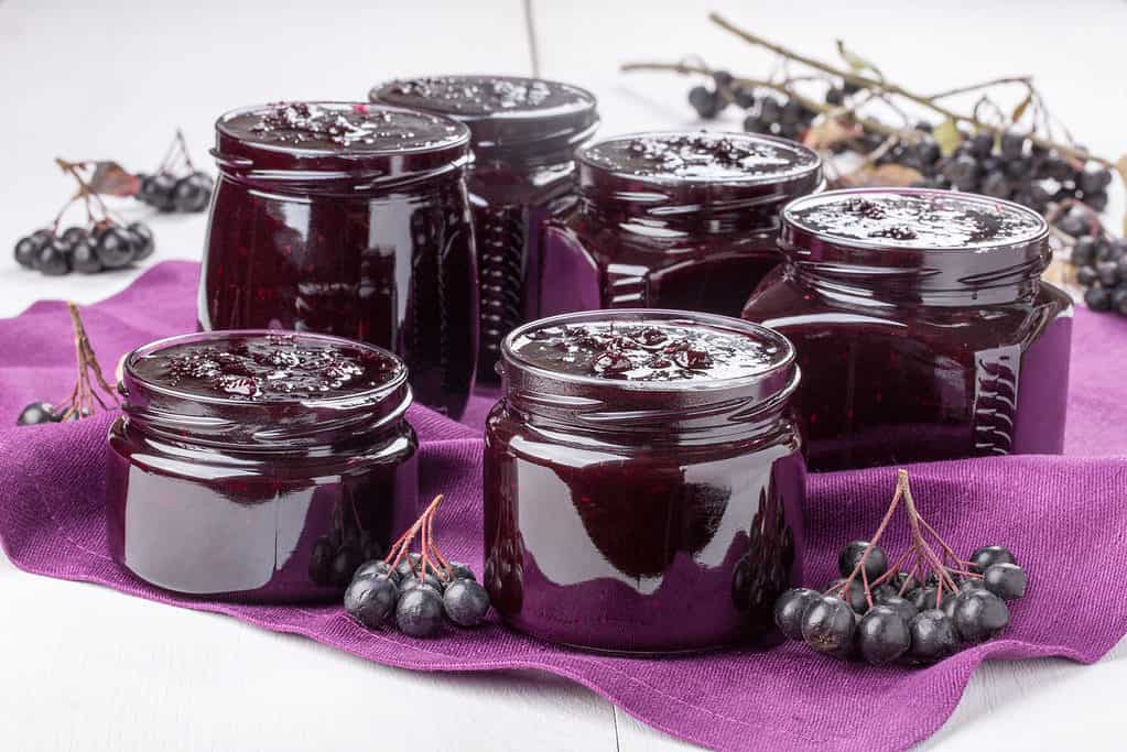 sei barattoli di vetro aperti pieni quasi fino all'orlo di marmellata di bacche di aronia viola scuro.  I duri sono piacevolmente disposti su un pezzo di stoffa più chiara[violasucuisonostatipostigrappolidibacchediaroniadipesceSfondobiancoisolato[purpleclothuponwhichclustersoffisharoniaberrieshavebeenplacedWhiteisolatebackground