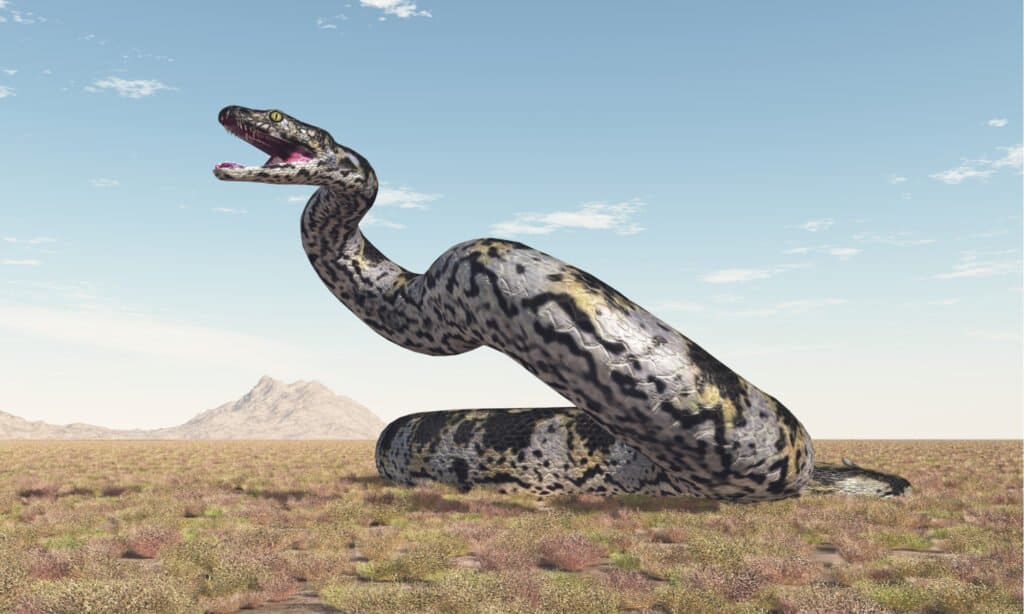 dimensione titanoboa
