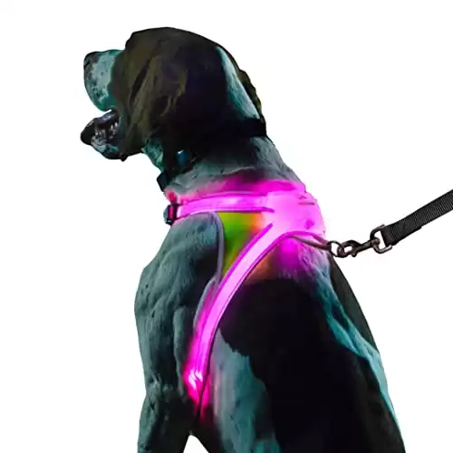 Noxgear Pettorina Illuminata e Riflettente per Cani