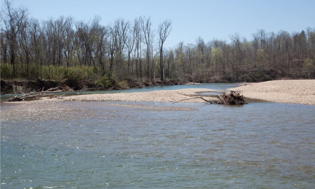 Fiume nero a Lesterville, Missouri