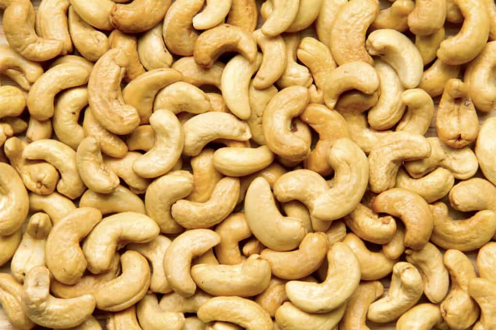 anacardi