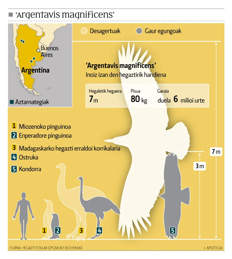 Magnifico argento
