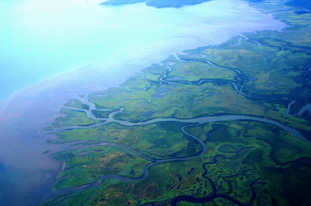 Delta del fiume