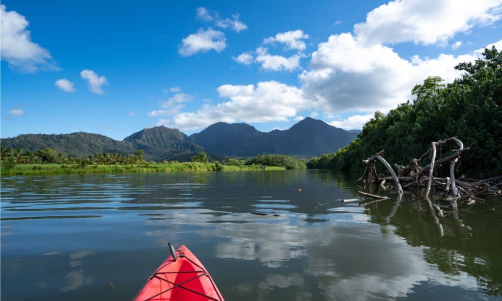 I fiumi più belli degli Stati Uniti - Hanalei