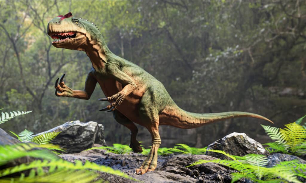 allosauro