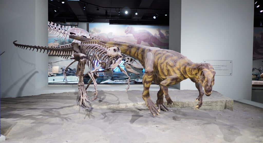 Scheletro di Herrerasaurus