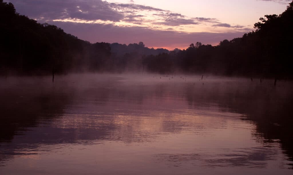 Lago Taylorsville Kentucky