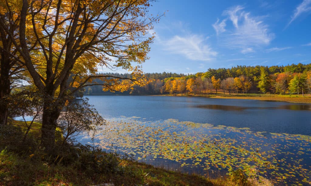Bass Lake Carolina del Nord