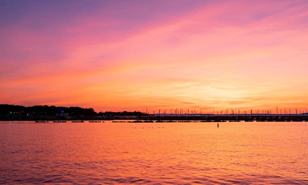 Lago Lewisville