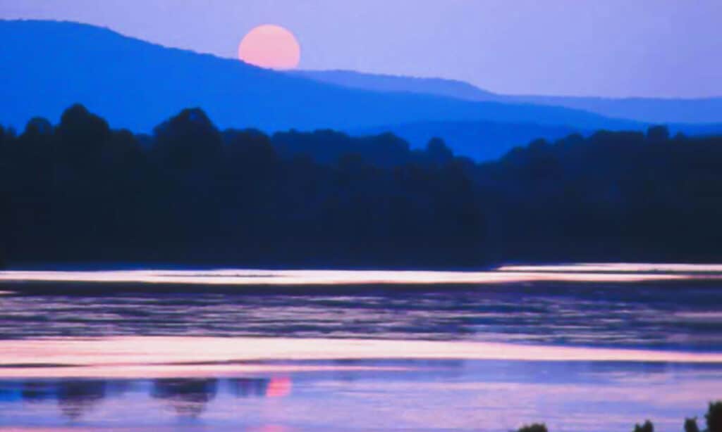 Guntersville Lago Alabama 