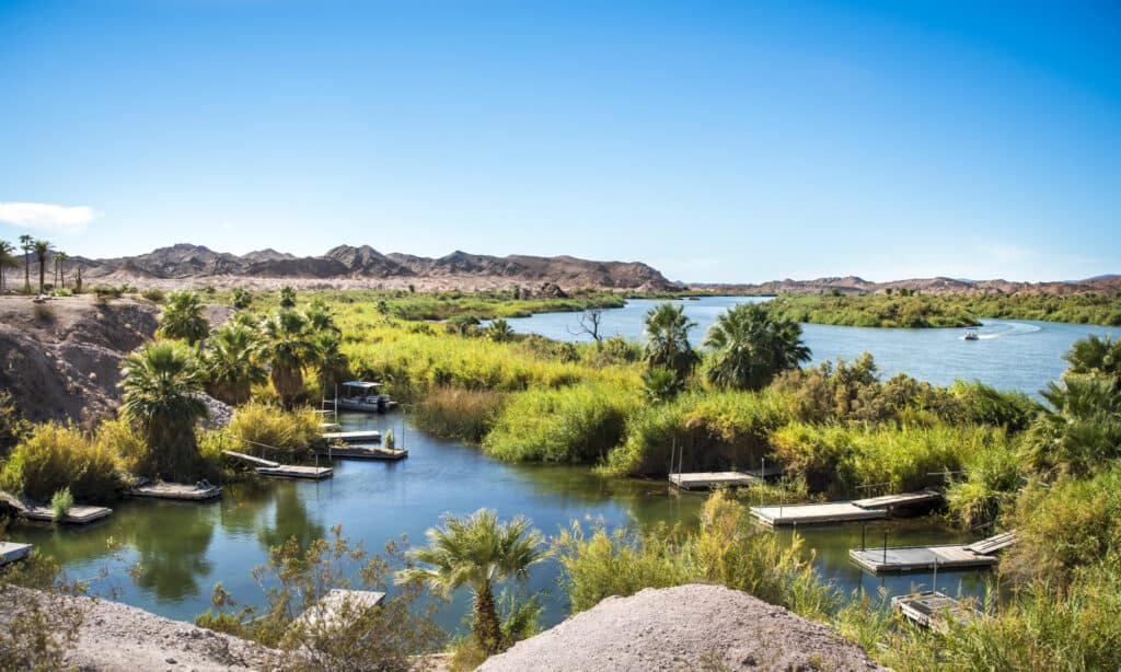 Lago Martinez Arizona