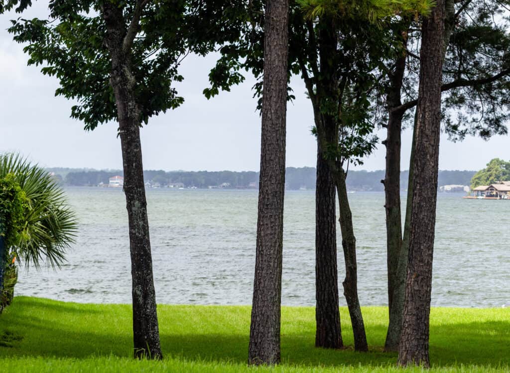Una vista attraverso alcuni alberi del Lago Conroe, Texas