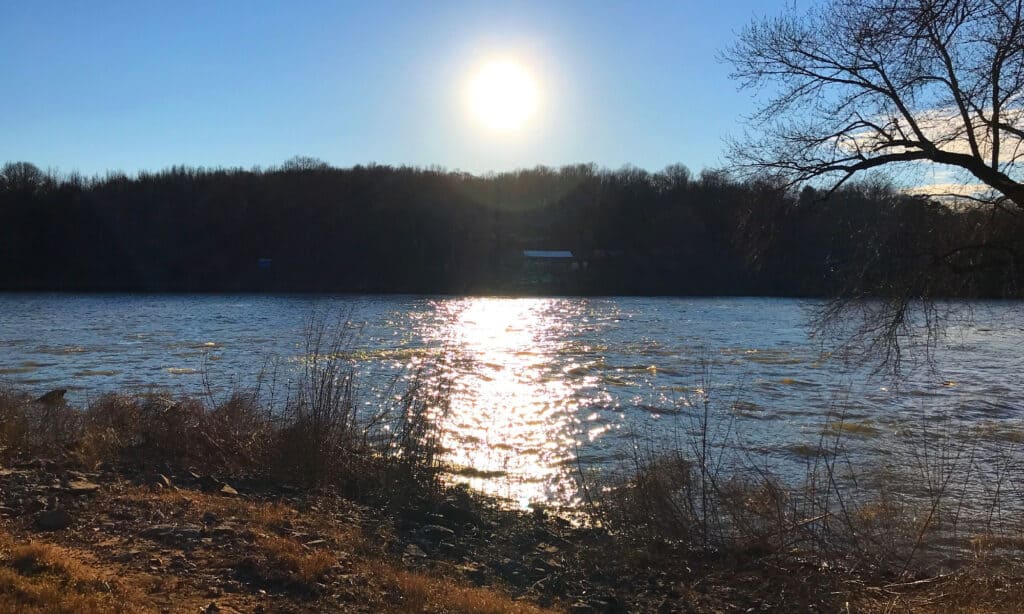 Lago Cheatham