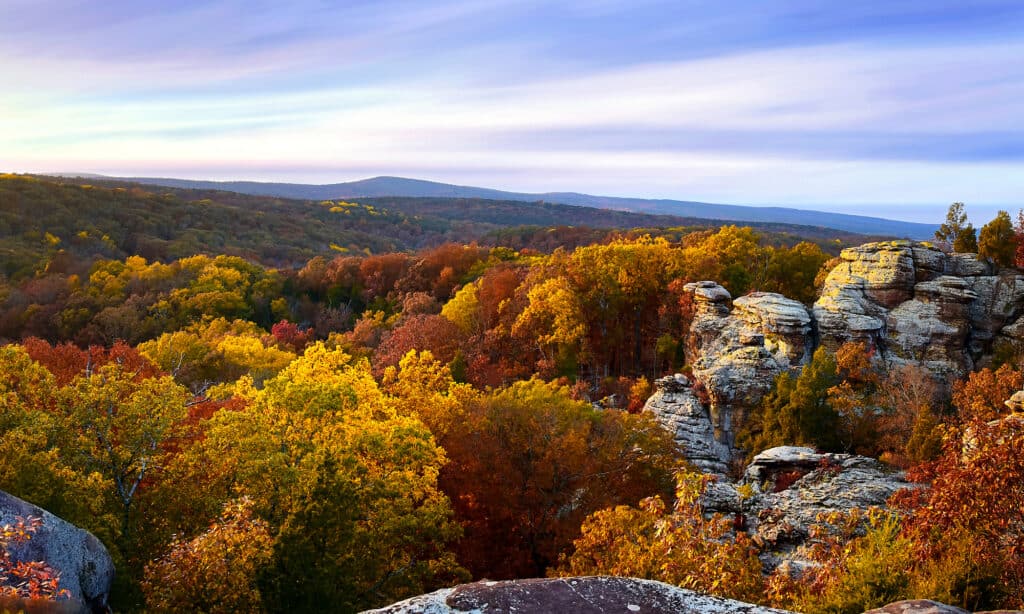 foresta di Shawnee