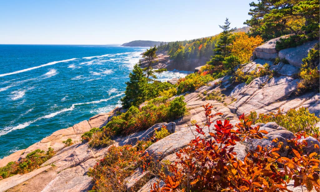 Parco Nazionale dell'Acadia