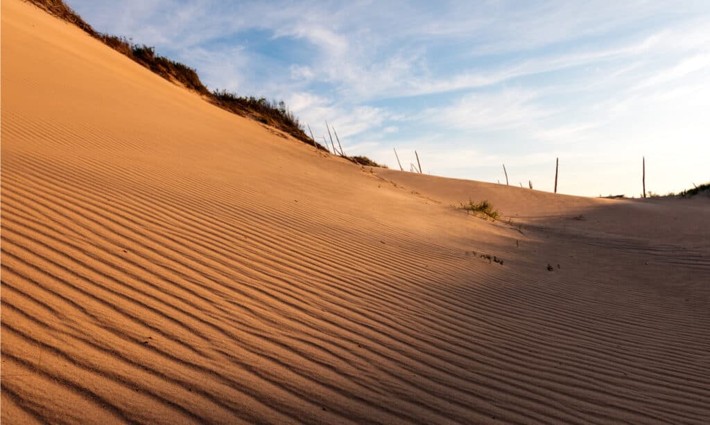 Sleeping Bear Dunes National Lakeshore
