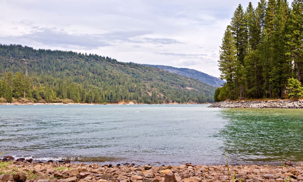 Basso Lago California