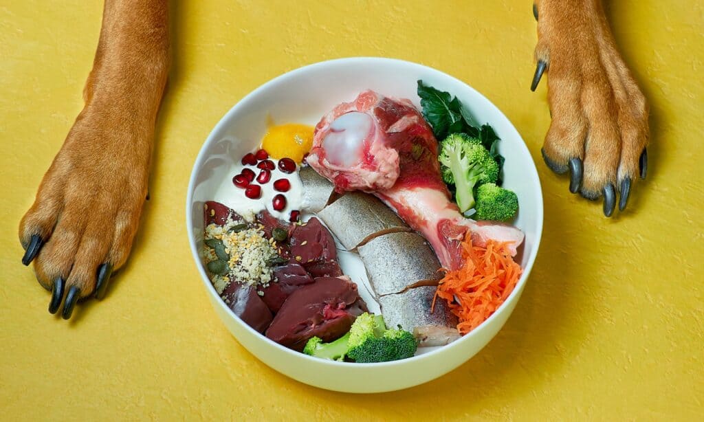 gusto del selvaggio senza grano