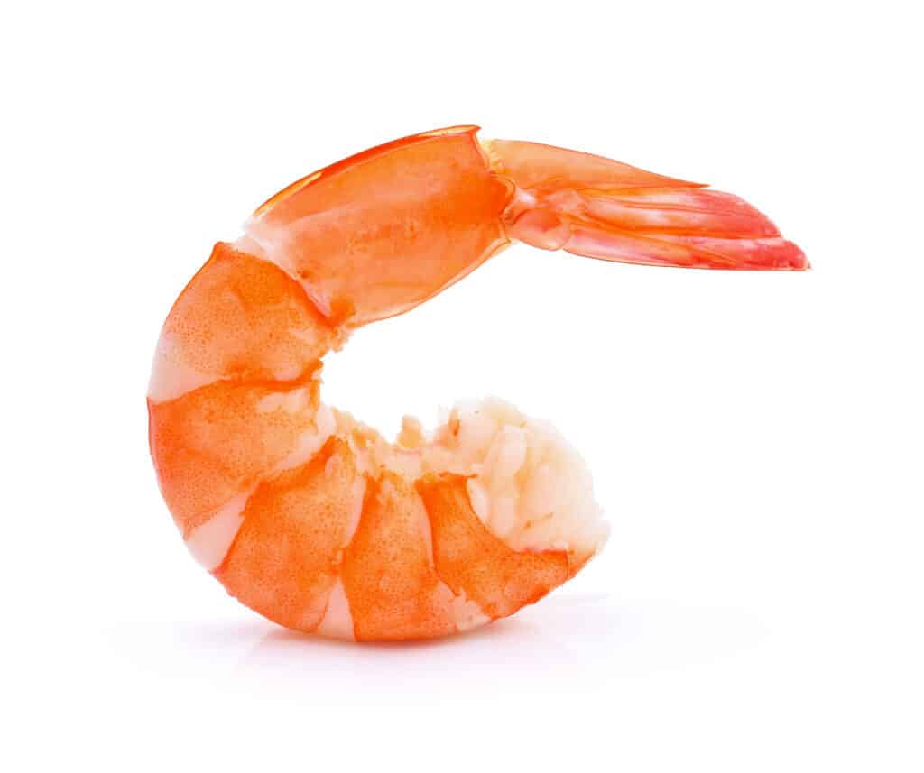 gamberetto