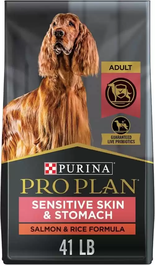 PURINA PRO PLAN Alimento secco per cani con formula di salmone e riso per pelli sensibili e stomaco per adulti