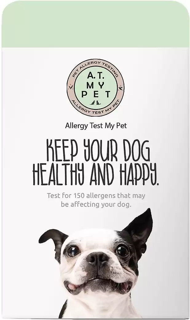 DNA My Dog Test Allergologico per Cani