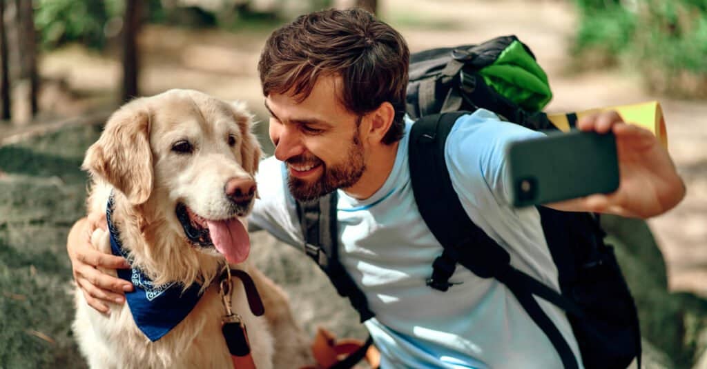 I cani sono ammessi nel Parco Nazionale di Yellowstone