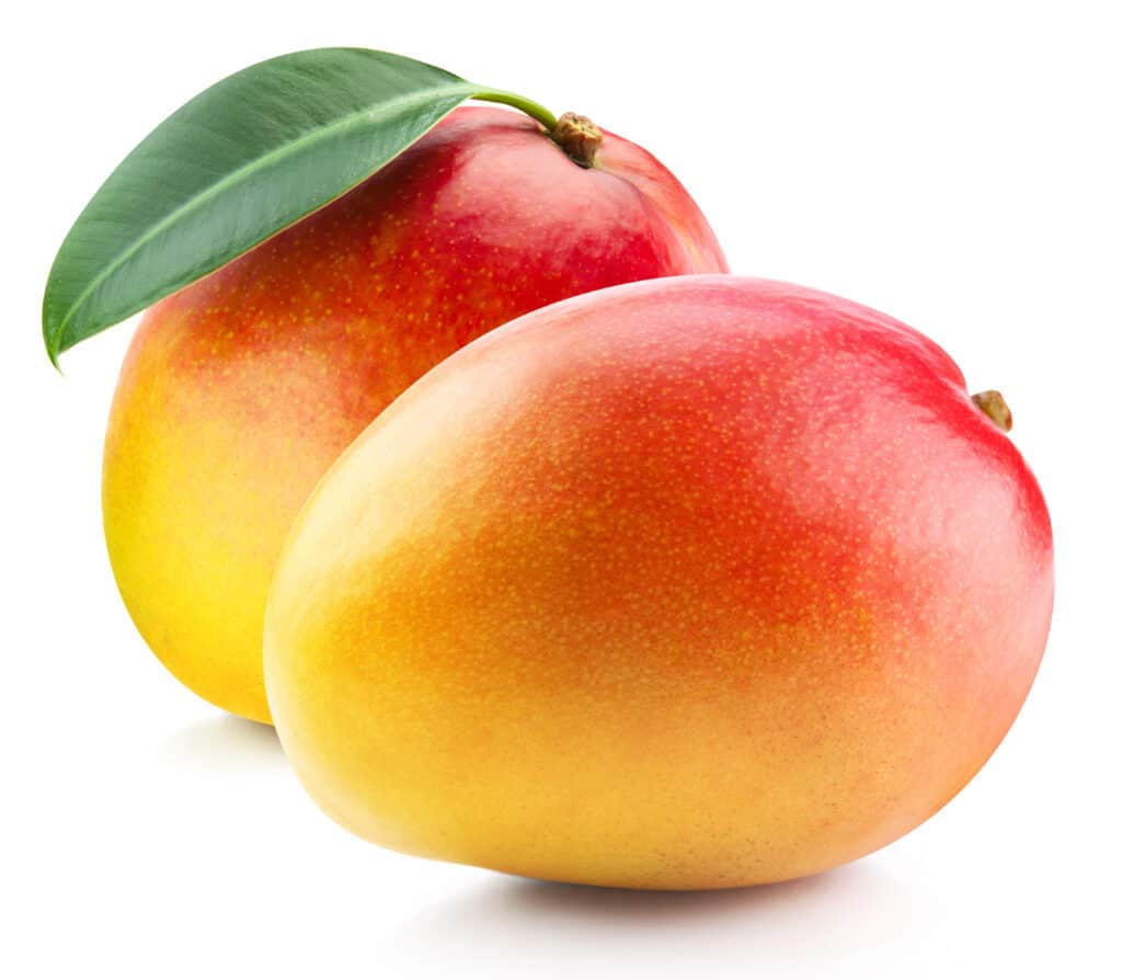 mango