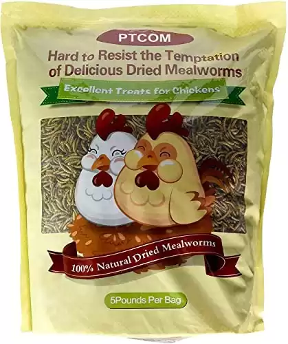 Hatortempt Vermi della farina essiccati non OGM ad alto contenuto proteico