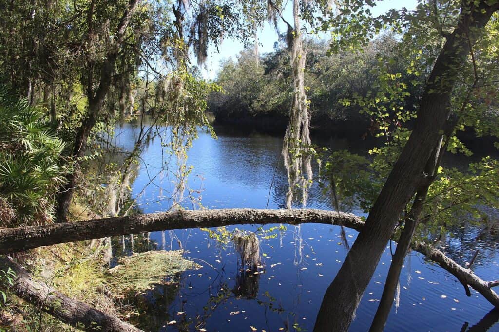 Big Shoals State Park Florida