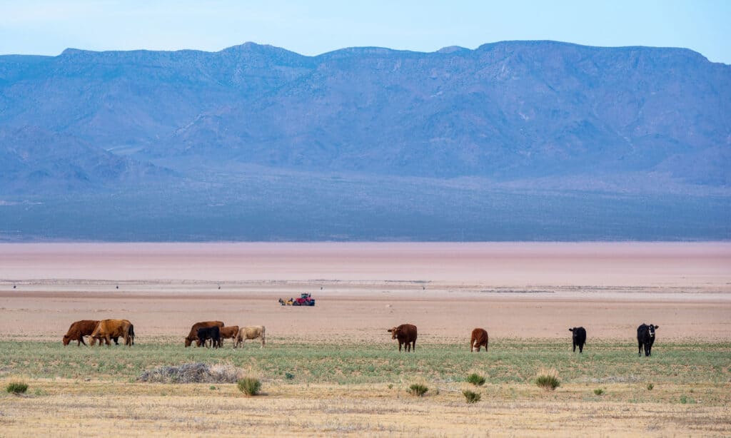 Contea di Mohave, Arizona