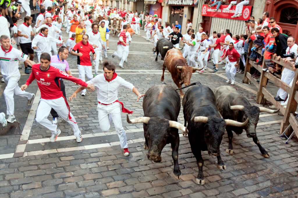 Corsa dei tori