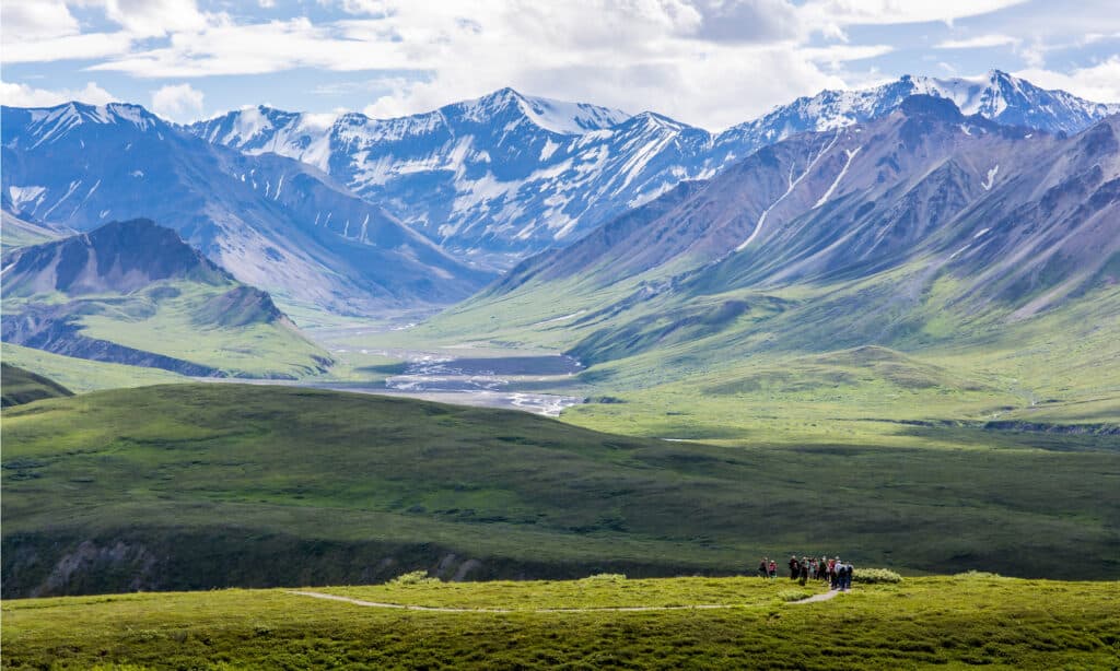 Parco Nazionale e Riserva di Denali, Alaska, Stati Uniti