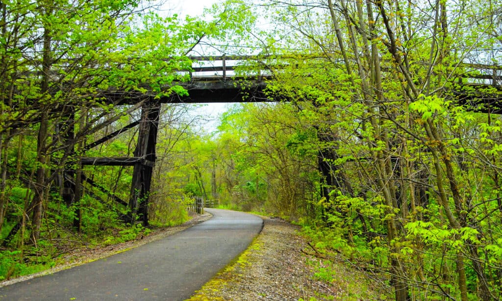 Il ponte cardinale Greenway