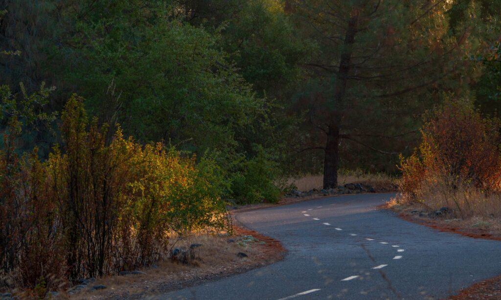 Pista ciclabile del fiume americano
