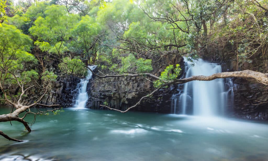 Le cascate gemelle di Maui