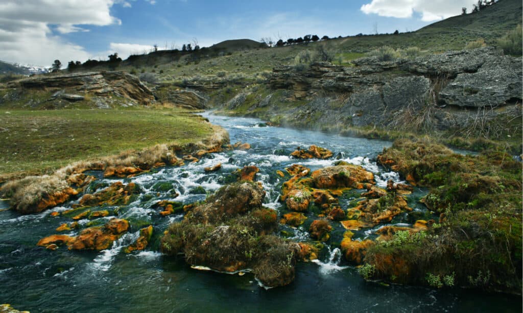 pesca in Yellowstone