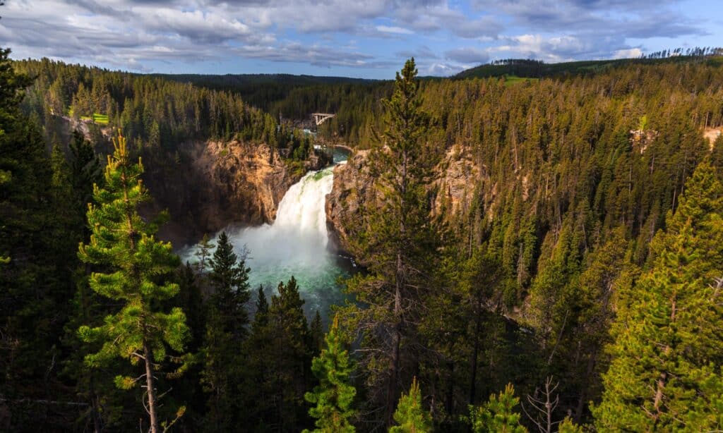 Grand Canyon dello Yellowstone