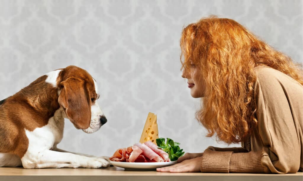 Una donna dai capelli rossi e il suo beagle con un piatto di prosciutto e formaggio tra loro su un tavolo